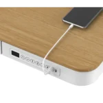 ESCRITORIO AJUSTABLE RISING DESK FRESNO EUROPEO 1 MOTOR - Imagen 2